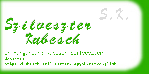 szilveszter kubesch business card